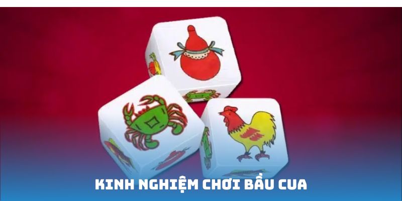 Kinh nghiệm chơi bầu cua bạn nên biết từ những người chơi trước