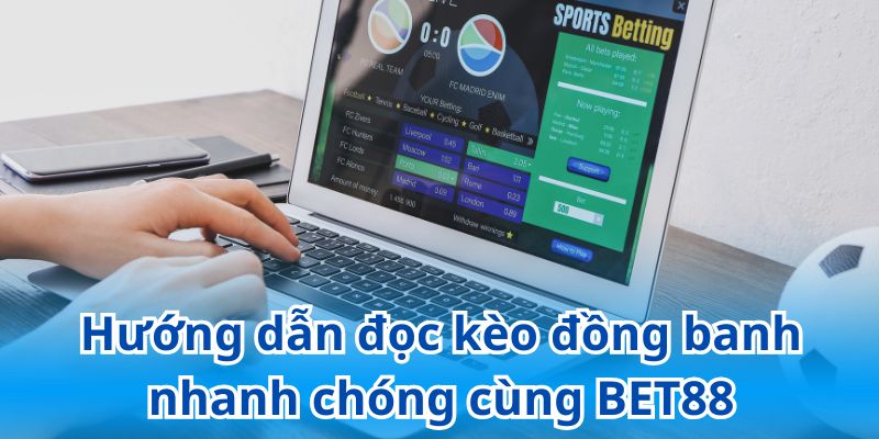 Tổng hợp các hình thức cược đồng banh phổ biến trong bóng đá